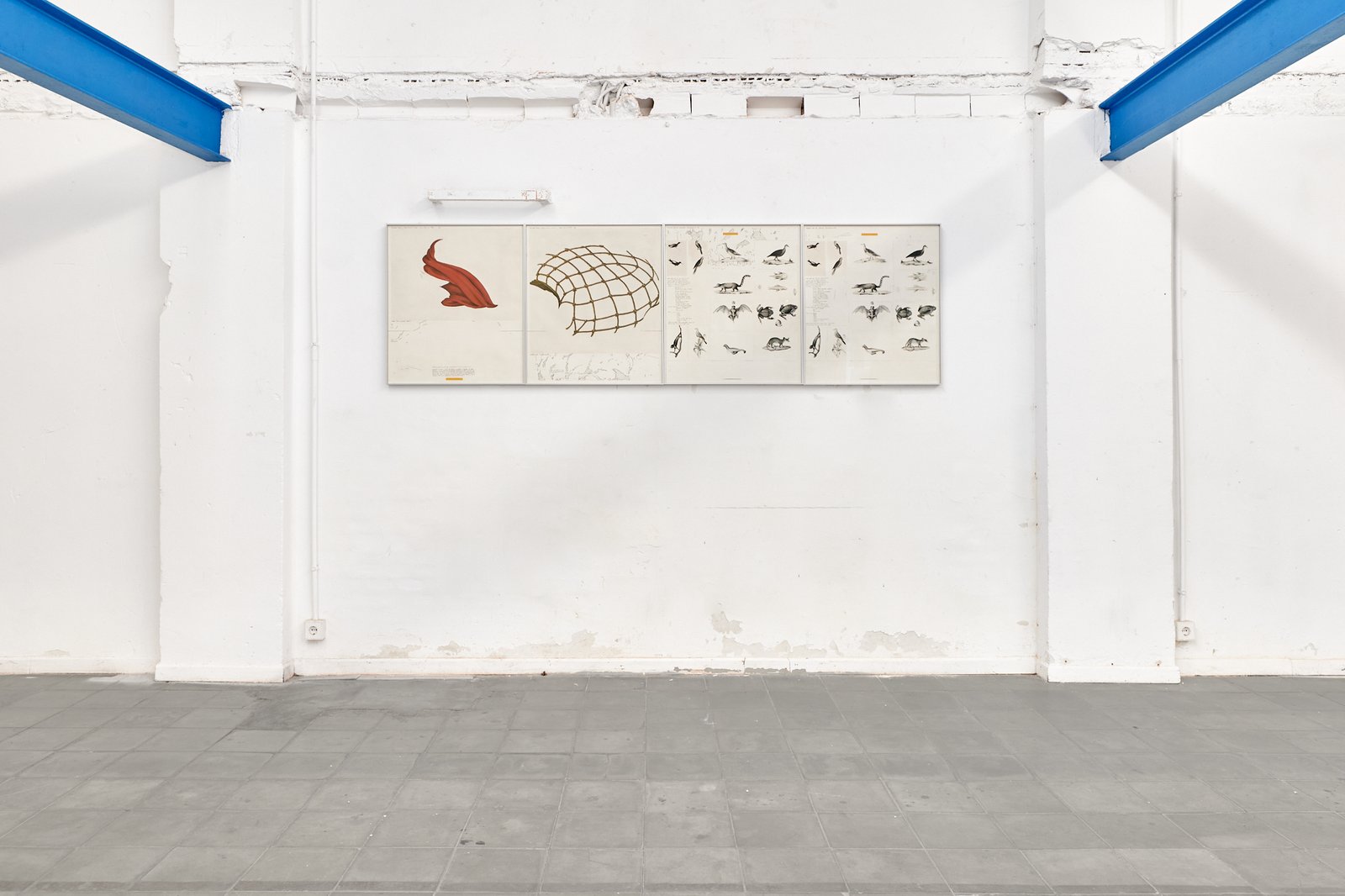 2MB_069_ATLAS_10_10.25